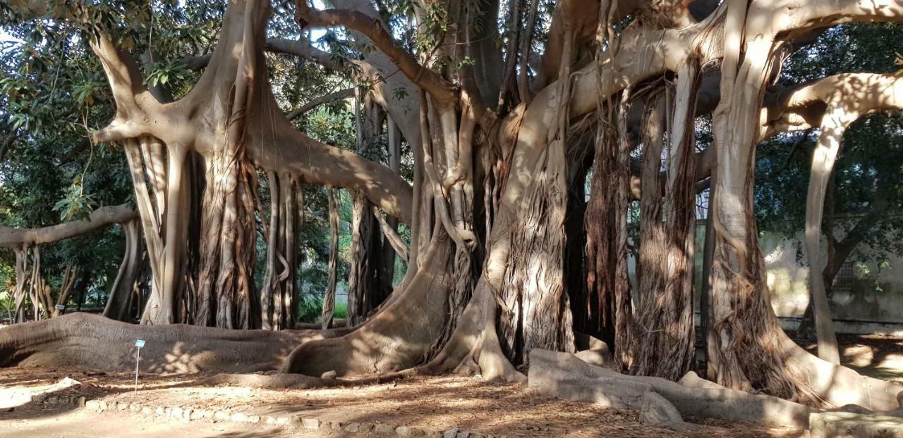 Casa Albergheria Palermo Bagian luar foto